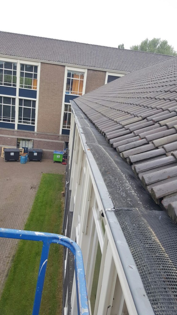Stedelijk Gymnasium Arnhem